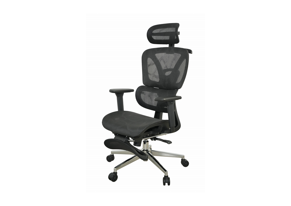 Ergonomic Chair