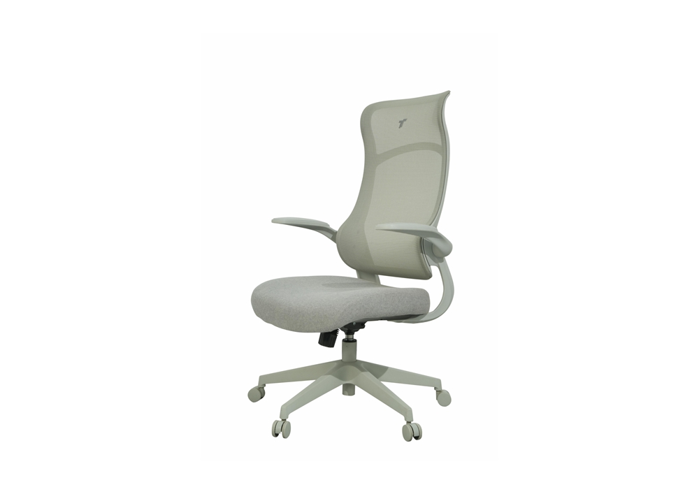 Ergonomic Chair