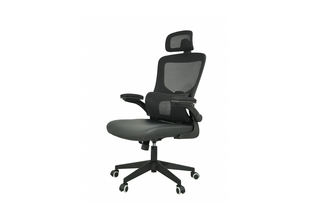 Ergonomic Chair