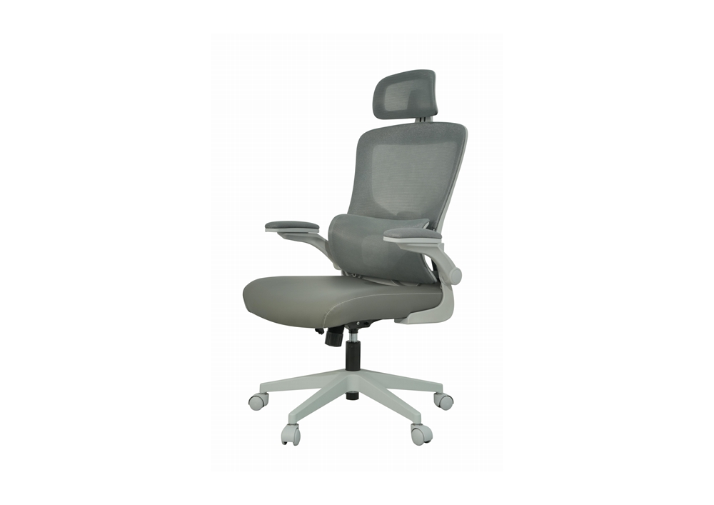Ergonomic Chair